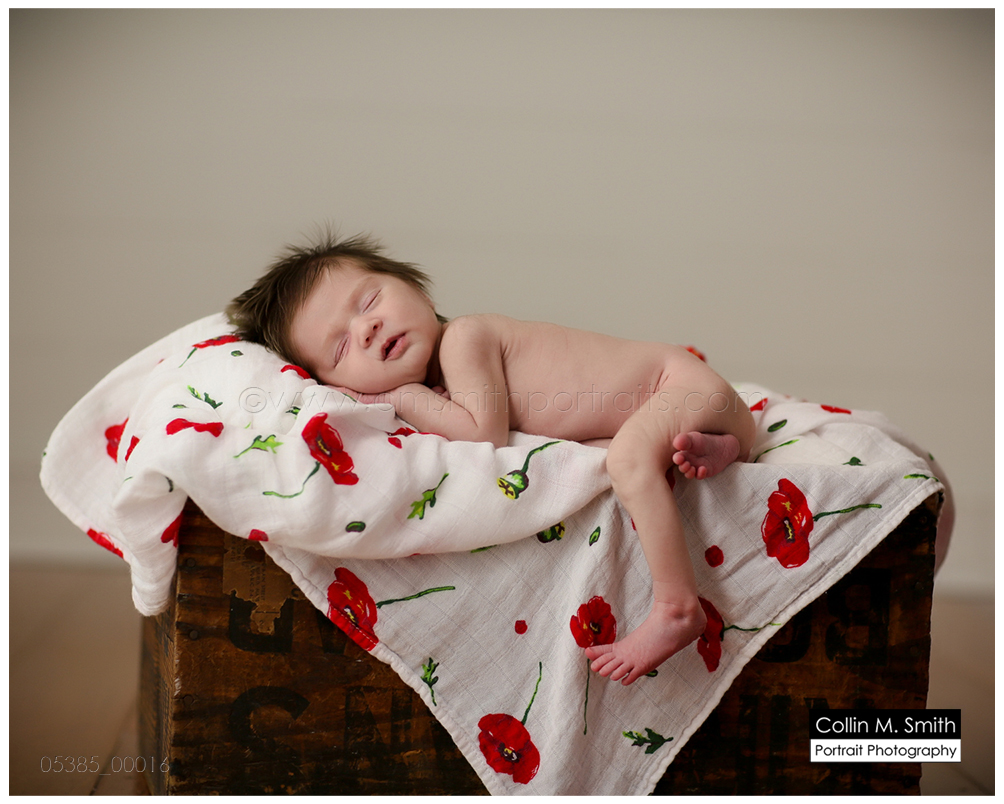 © Collin M. Smith Portrait Photography www.cmsmithportraits.com/blog